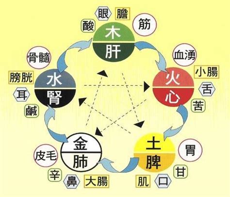 木剋土性格|五行中木土關係揭秘